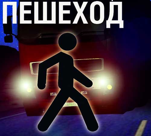 В Томском районе подведены итоги профилактического мероприятия «Пешеход.