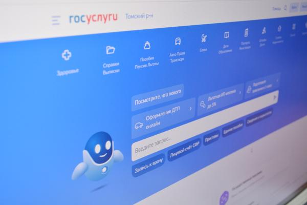 Получение муниципальных услуг в электронном виде (портал ГОСУСЛУГИ.